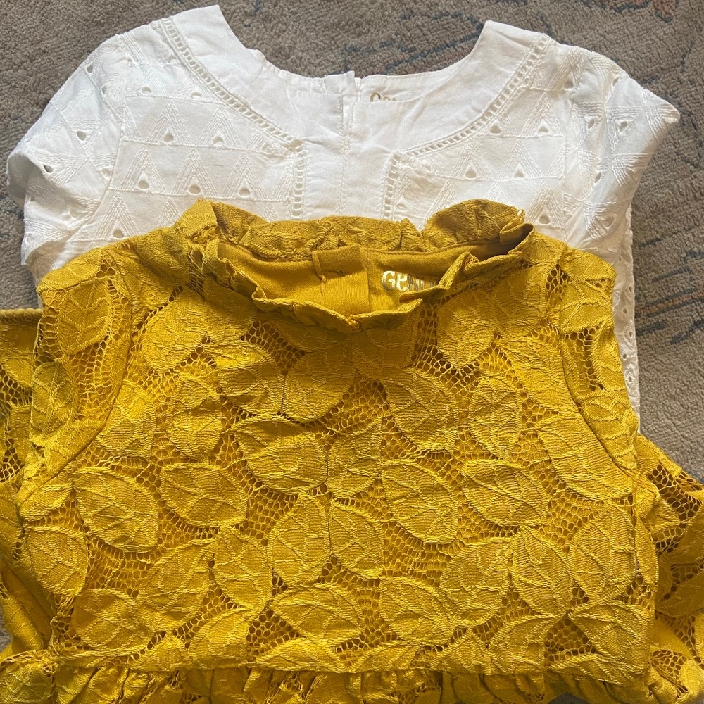 Toddler girls Genuine Kids dresses (5T)